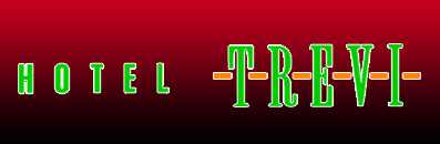 HOTEL TREVI