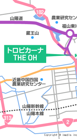 トロピカーナ　THE OH　地図